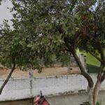 Foto de Alvaro Carrillo Alarcon