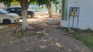 Foto de Caminito Feliz