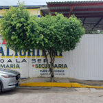 Foto de Colegio Alighieri