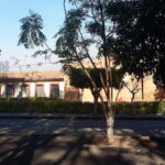 Foto de Escuela Primaria Lucía De La Paz