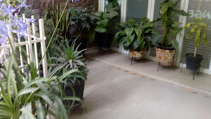Foto de Estancia Infantil Angelito