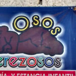 Foto de Estancia Infantil Osos Perezosos