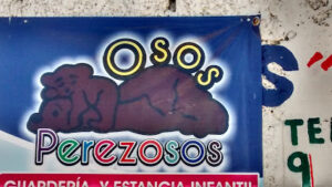 Foto de Estancia Infantil Osos Perezosos