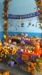 Foto de Estancia Infantil Tigrillos