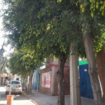Foto de Integra Guarderías