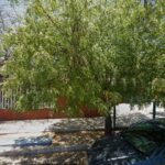Foto de Jardín De Niños Benito Beltrán Beltrán