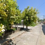 Foto de Jardín De Niños Felipe Villanueva