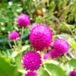 Foto de Jardin De Niños Gabriela Mistral