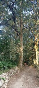 Foto de Jardín De Niños Sierra Madre Occidental