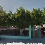 Foto de Jardin De Niños Silvestre Revueltas