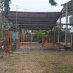 Foto de Jardin De Niños Y Niñas Federico Francisco Chopin