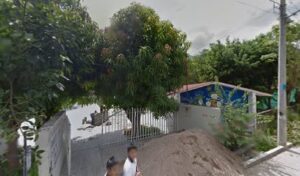 Foto de Jardín Francisco Javier Alegre