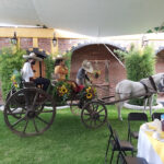 Foto de Jardín Los Pinos