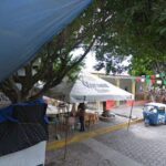 Foto de Nueva Creación
