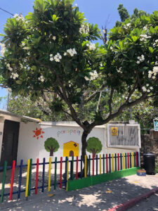 Foto de Parapeques
