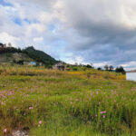 Foto de Plan De Guadalupe