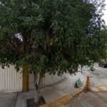 Foto de Valle Montessori