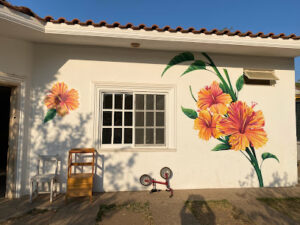 Foto de Waldorf Pacifico